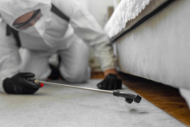 Professional Pest Control technician working in Pierce County County, ND